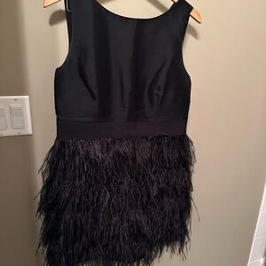Sail to Sable Elegant Black Feathered Dress